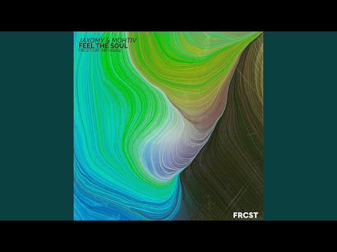 Feel the Soul (Extended)