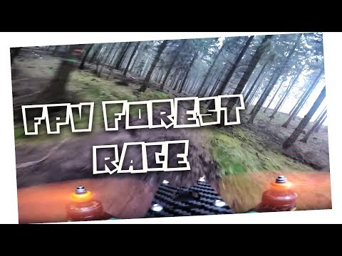 FPV forest race - UClvWnbq4uO9SoM5DYiQB0XQ
