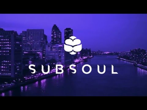 SubSoul Q1/2016 (Mixed Live By Richason) - UCO3GgqahVfFg0w9LY2CBiFQ