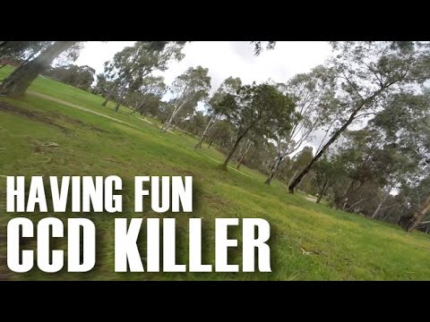 Mr CCD Killer - ZMR V2 Practice session - UCOT48Yf56XBpT5WitpnFVrQ