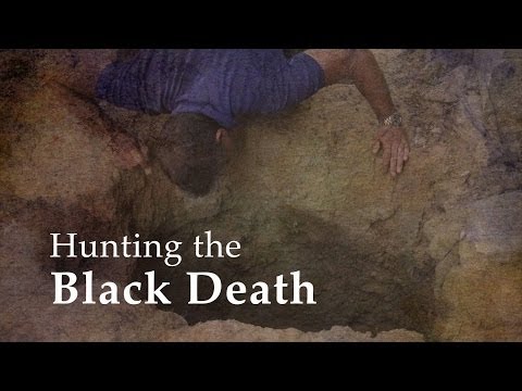 Hunting the Black Death - UCv0aU2eKry3kdSTnFa8QAWA