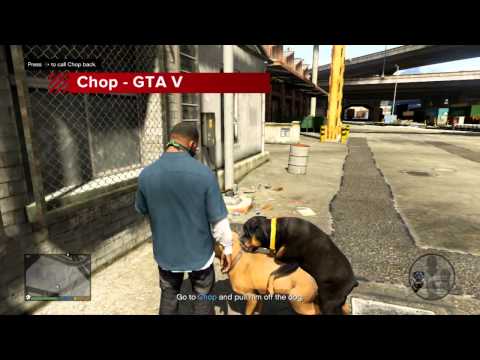 Top 10 Dogs in Video Games - UCKy1dAqELo0zrOtPkf0eTMw