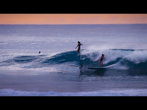 Alternative Lines: The Faces of Women's Longboarding in 2018 - UCKo-NbWOxnxBnU41b-AoKeA