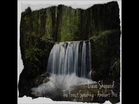 Dave Shepard-The Forest Speaking (Ambient Mix) - UC9x0mGSQ8PBABq-78vsJ8aA