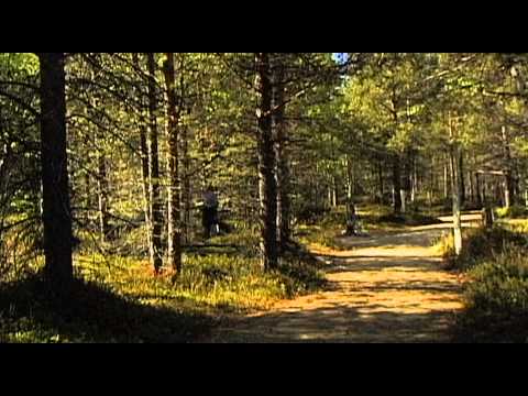 Lapland Vacation Travel Video Guide - UC3o_gaqvLoPSRVMc2GmkDrg