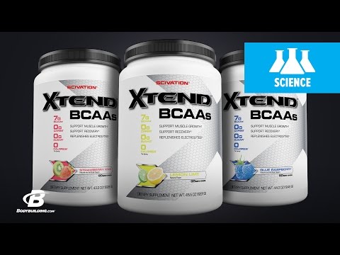 SciVation Xtend BCAAs | Science-Based Overview - UC97k3hlbE-1rVN8y56zyEEA