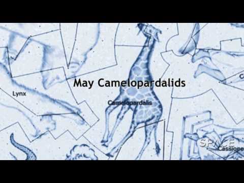 How Do You Pronounce Camelopardalids? | Video - UCVTomc35agH1SM6kCKzwW_g