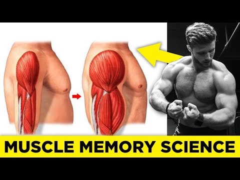 How Muscle Memory Works & How To Use It To Build Muscle (Science Explained) - UC68TLK0mAEzUyHx5x5k-S1Q