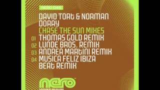 David Tort & Norman Doray - Chase the Sun (Musica Feliz Ibiza Beat Remix)