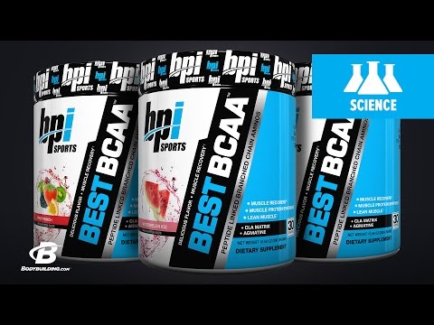 BPI Sports Best BCAA | Science-Based Overview - UC97k3hlbE-1rVN8y56zyEEA