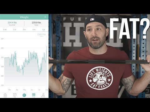 Bulk Update: Back to Fat? - UCNfwT9xv00lNZ7P6J6YhjrQ