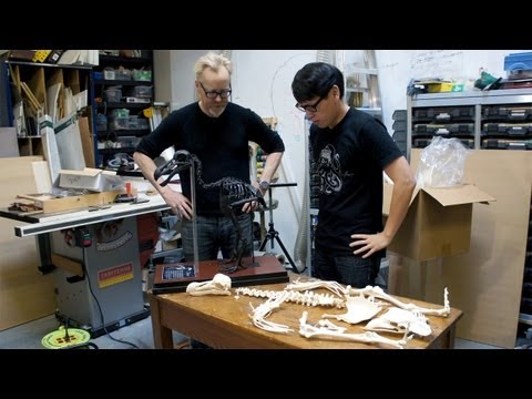 Inside Adam Savage's Cave: The Dodo Birds Project - UCiDJtJKMICpb9B1qf7qjEOA