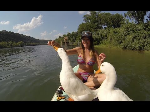 Fun GoPro Quack Feeding - UCTs-d2DgyuJVRICivxe2Ktg