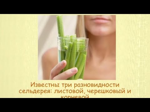 Кулинарная энциклопедия - Сельдерей - UC7XBjhXnmmXFsxmnys9PmDQ