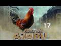 KUKU WA AJABU 17