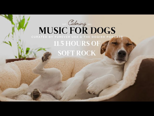 Soft Rock Music: Is It Really for Dogs?