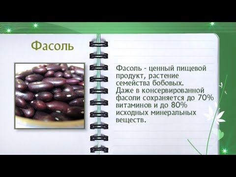 Кулинарная энциклопедия - Фасоль - UC7XBjhXnmmXFsxmnys9PmDQ