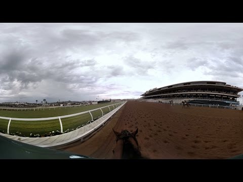 GoPro VR: Triple Crown Winner - American Pharoah - UCqhnX4jA0A5paNd1v-zEysw