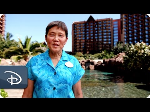 Meet Aulani’s ‘Ohana | Animal Programs | Aulani, A Disney Resort & Spa - UC1xwwLwm6WSMbUn_Tp597hQ