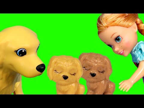 Puppies ! Elsa & Anna toddlers dog at the Pet VET - Sick ? Animal doctor clinic - UCQ00zWTLrgRQJUb8MHQg21A