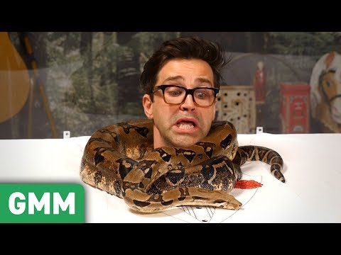 Trapped in a Snake Tank Pt. 2: 6ft Boa Constrictor - UC4PooiX37Pld1T8J5SYT-SQ
