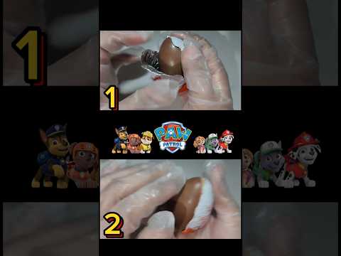 Which one is the best? Skye 🆚️ Everest ⚠️⚠️ ||● #pawpatrol #everest #skye #asmr #surpriseeggs #toys