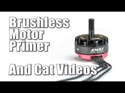 RC Brushless Motor Primer With Cats - UCX3eufnI7A2I7IkKHZn8KSQ