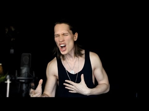 PelleK - The Beginning (One Ok Rock cover)