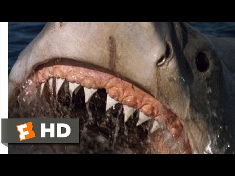 Jaws: The Revenge (2/8) Movie CLIP - A Big Fish (1987) HD - UC3gNmTGu-TTbFPpfSs5kNkg