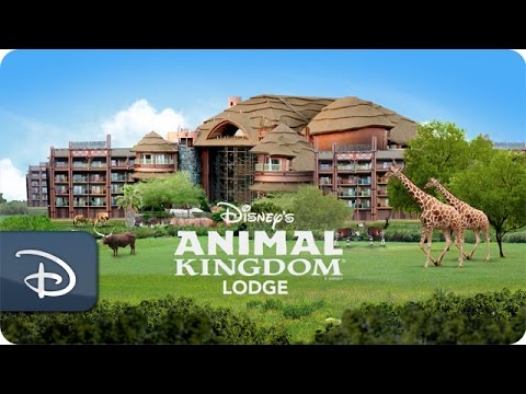 Disney’s Animal Kingdom Lodge | Walt Disney World - UC1xwwLwm6WSMbUn_Tp597hQ