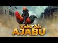 KUKU WA AJABU 39