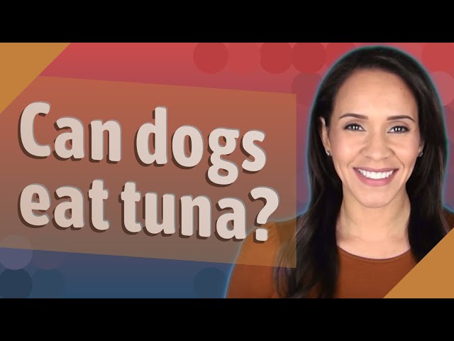 can dogs eat tuna with mayo