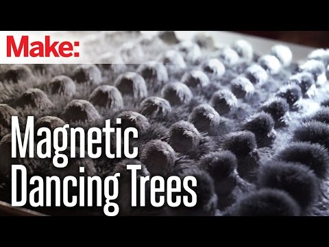 Magnetic Dancing Trees - UChtY6O8Ahw2cz05PS2GhUbg