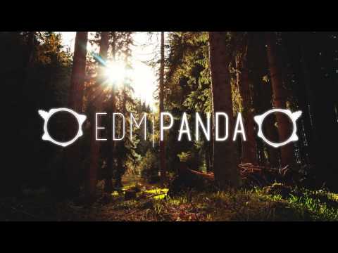 Lost Frequencies - Are You With Me (DIMARO Remix)