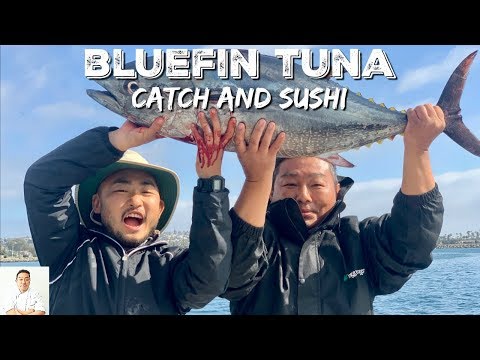 THOUSANDS BLUEFIN TUNA: Way Too Fresh | Catch and Sushi - UCbULqc7U1mCHiVSCIkwEpxw