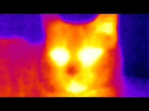 SEEK Thermal Camera Review: The Tricorder I've Been Waiting For - UCO_vmeInQm5Z6dEZ6R5Kk0A