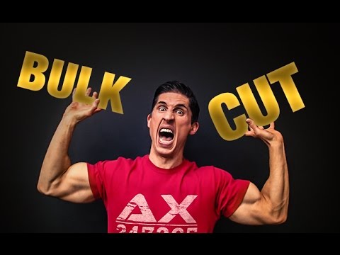 Bulking | Cutting | The Truth!! - UCe0TLA0EsQbE-MjuHXevj2A