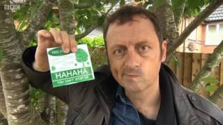 Rogue Traders - Greenways Tree & Garden Care (2017)