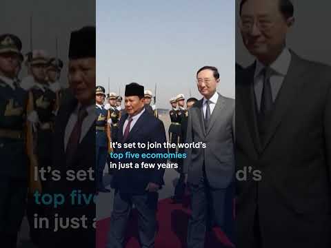 Indonesia is quickly rising to power | DW Business