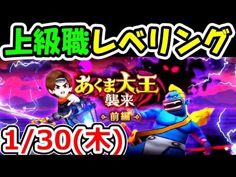 ドラクエウォーク 1/30(木)上級職レベル51を目指してレッツレベリング！【DQW実況】