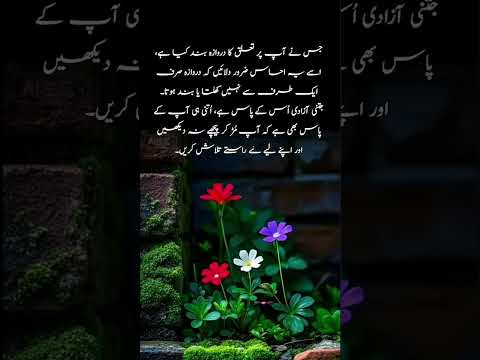 #quotes #poetry #motivation #aqwalezareen #4line #love #shorts