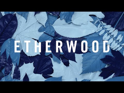 Etherwood - Light My Way Home (feat. Eva Lazarus) - UCw49uOTAJjGUdoAeUcp7tOg