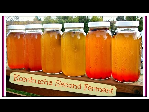 How To Make Fizzy & Flavored KOMBUCHA | Just Like GT's - UCs1uwp7bB1J_3r5xN2ioL_w