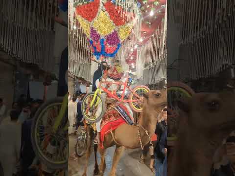 ma tu cham cham nachu # gunga cycle rider # YouTube stund # viral shorts 🤑🤑🤑