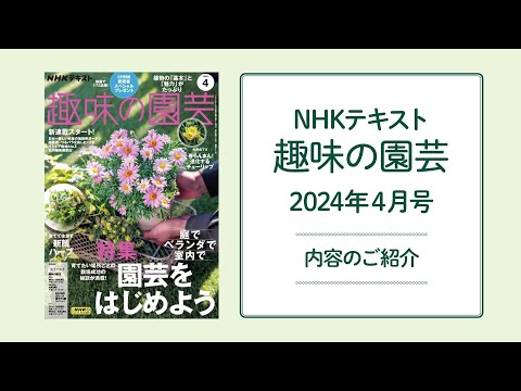 NHKテキスト『趣味の園芸』2024年4月号の紹介