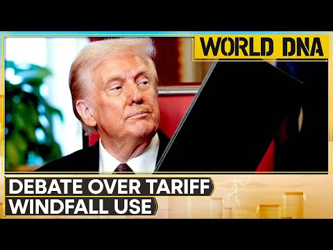 Trump Tariffs: US Businesses Brace For Higher Prices; Tariff Revenue Soars 242% in a Year | WION DNA