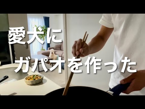【簡単レシピ】愛犬にガパオを作った！テリア