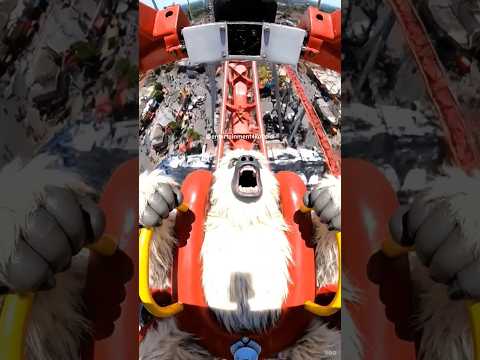 Noooo #viralshort #shortsviral