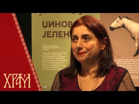 Изложба "Природа и језик"