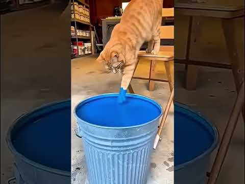 be careful little one!